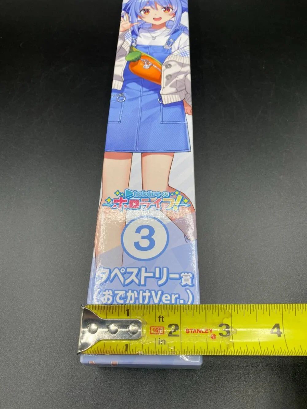 Hololive Usada Pekora Tapestry Scroll 3 (Going Out Version) Kuji Hololife New